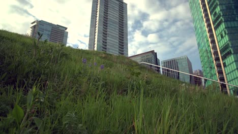 Urban-Green-Roof dolly-shot-4K.-UHD