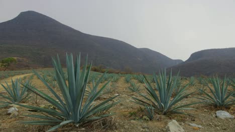 Puebla-Sirra-Madre-Oriental-Mountains