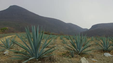 Puebla-Sirra-Madre-Oriental-Berge