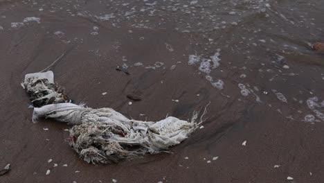 Tropischer-Meeresstrand-stark-verschmutzt-mit-Müll-und-Plastiktüten-in-allen-Varianten