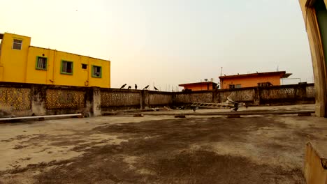 threadbare-roof-of-Kolkata-crows-jump