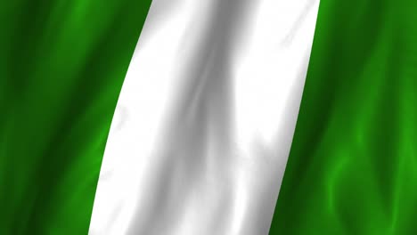 Nigeria-Flag---waving,-looping