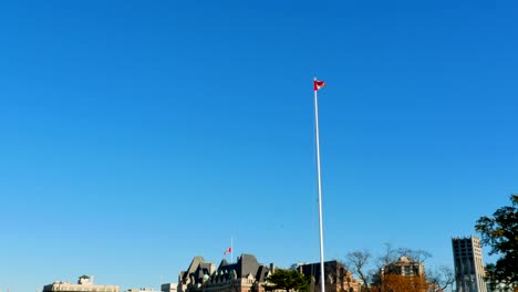 Ultra-Wide-Angle-of-Soldier-Memorial-Cenotaph-and-Crowd-on-Remembrance-Day