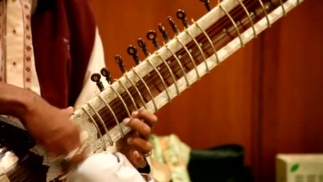 Hands-Playing-Sitar:-India