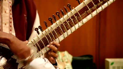 Manos-Tocando-El-Sitar:-India