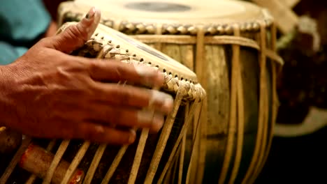 Hands-Playing-Sitar:-India