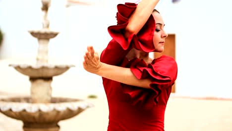 Traditionelle-spanische-Flamenco