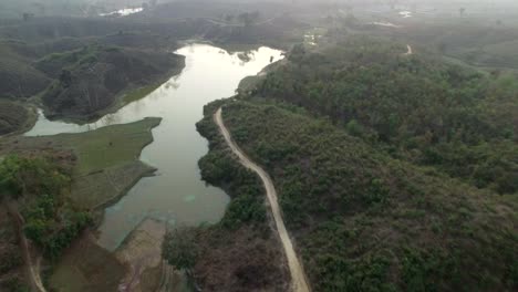 Plantación-de-té-en-Bangladesh