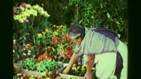 1978:-alte-hispanic-Frau-Blume-Kommissionierung-Werke-am-Markt-des-Gärtners.