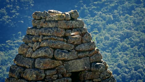 Aves-vuelan-alrededor-de-antiguas-ruinas