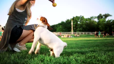 junge-Frau-spielt-mit-kleine-süße-jack-Russel-Terrier-im-Park,-Slow-motion