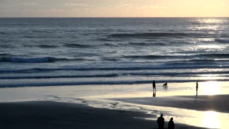 pareja-y-el-perro-en-la-playa-del-cañón-al-atardecer