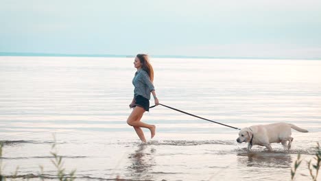 woman-is-walking-big-labrador-on-a-leash-on-a-shore-of-large-river-in-evening-time,-smiling-and-laughing