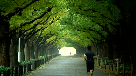 Mann-läuft-für-die-Übung-in-einem-Park-in-Tokio.