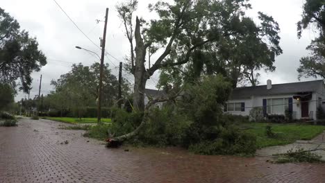 Daños-de-huracán-Irma-en-el-histórico-barrio-de-Lake-Eola-alturas-Orlando-Florida