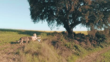 Girl-with-Dog-Playing-Guitar-in-Countryside