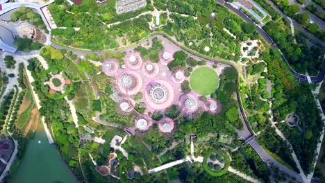 Aerial-view-of-Grove-Gardens-in-Singapore-Singapore-City