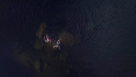 Top-Aerial-View.-Girl-and-teen-girl-floating-in-the-lake.