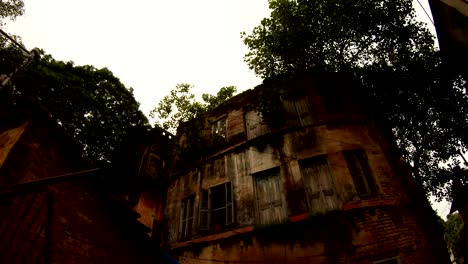 shabby-buildings-covered-with-trees-old-street-of-Kolkata-bottom-view