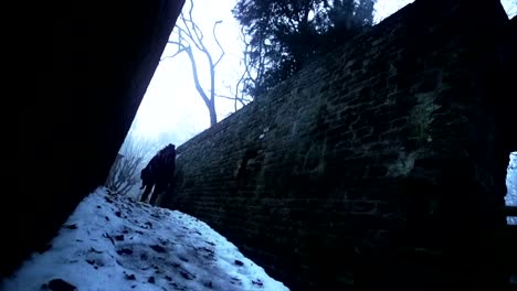 Mujer-caminar-en-la-nieve-de-los-Andes