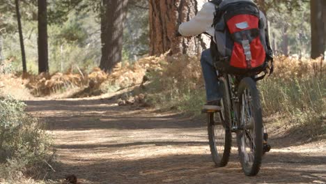 Abuelos-y-niños-Ciclismo-en-el-bosque,-el-sendero-de-movimiento-lento