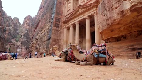 Fassade-des-Schatzes-in-Petra,-Jordanien.