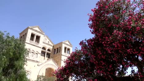 Wipfel-der-Bäume-in-voller-Blüte-und-Massive-Kirche-hinter