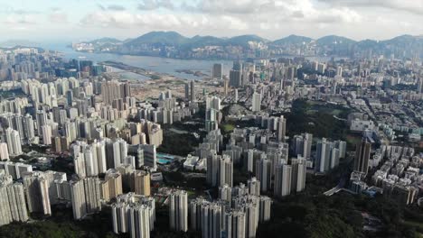 roca-León-en-hong-kong-con-el-fondo-de-la-ciudad