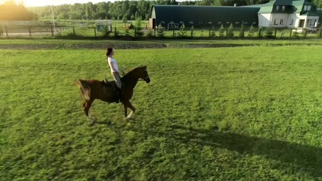 A-young-woman-rides-trotted-on-a-brown-horse-a-sideways-to-the-camera,-slow-motion