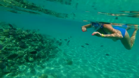 im-Meer-eine-Mädchen-in-einer-speziellen-Schnorchel-Maske-schwimmt,-untersucht,-Fische,-Korallen,-die-Schönheit-der-Unterwasserwelt,-an-einem-heißen-Sommertag,-während-des-Urlaubs