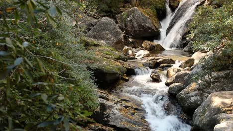 Catawba-Falls-Trail-east-of-Asheville-North-Carolina-hiking-trail,-trekking-through-a-mossy,-shady-forest-valley-to-beautiful-waterfalls-in-the-Pisgah-National-Forest