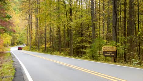 Campingfahrzeuge-Reisen-durch-Pisgah-Forest-im-Herbst