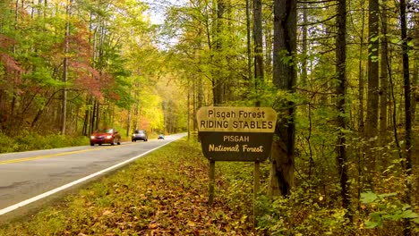 Coche-viaja-en-bosque-nacional-Pisgah-con-los-colores-del-otoño