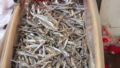 Chinese-Dried-sardine-fishes-shop-in-Hong-Kong.-Medicine-food-for-health