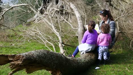 Viaje-de-madre-e-hijas-en-el-exterior-de-la-naturaleza