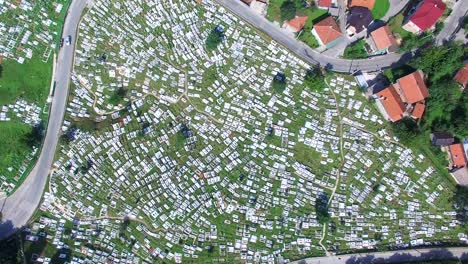 Flying-over-Bosnian-graveyard