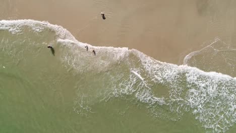 Aufsicht-auf-den-Strand