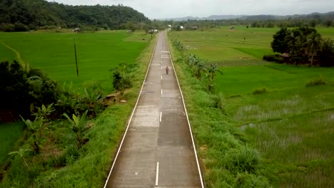 Drone-point-of-view-of-man-driving-motorbike-in-palm-trees-road-in-the-Philippines,-aerial-view-from-drone