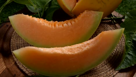 junger-Spross-der-japanischen-Melonen-oder-Cantaloupe-Melonen-Pflanzen-im-Gewächshaus