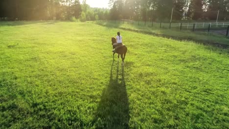 A-woman-rides-trotted-on-a-brown-horse-with-her-back-to-the-camera,-slow-motion