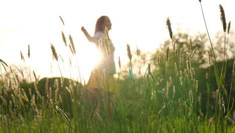 Silhouette-der-glückliche-Frau-Spinnen-Arund-auf-Feld