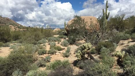 Cave-Creek-in-North-Scottsdale,-Wüste-Zeit-Zeitraffer-Aufnahmen