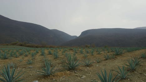 Puebla-Sirra-Madre-Oriental-Berge