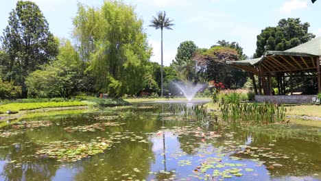 Estanque-de-Bogotá-con-fuente-y-naturaleza-en-jardín-público-con-sol