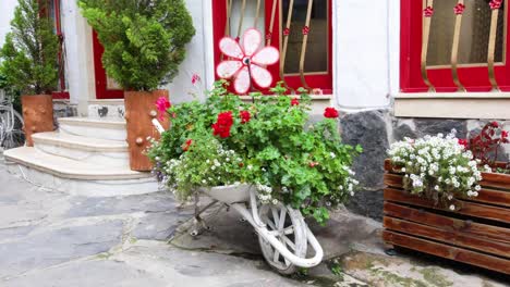 Tenza-Colombia-floral-wheelbarrow