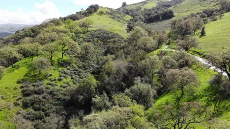 STP9_Going-towards-a-patch-of-trees-on-the-side-of-a-vivid-green-hill.