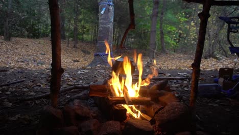 Wasserkocher-und-Topfaufhänger-mit-Lagerfeuer-und-Lichterketten.-Survival-Bushcraft-Setup-in-den-Blue-Ridge-Mountains-in-der-Nähe-von-Asheville.-Primitive-Tarp-Shelter