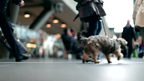 Passagiere-mit-Gepäck-Fall-in-einem-modernen-Station-und-Bokeh