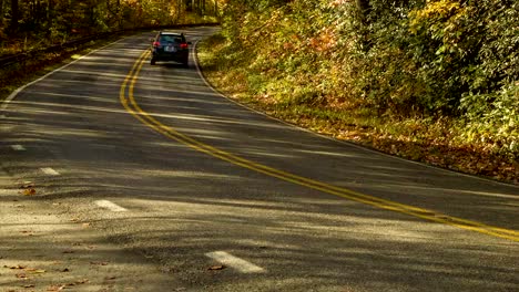 Vehículo-deportivo-utilitario-(SUV)-y-conducción-a-través-del-Bosque-en-otoño-en-Sunrise-en-Carolina-del-Norte