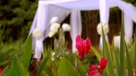 Jewish-traditions-wedding-ceremony.-Wedding-canopy-(chuppah-or-huppah).